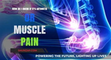 Arthritis or Muscle Pain: How to Identify the Source of Your Discomfort