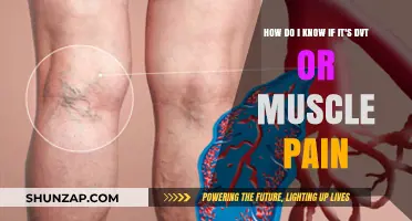 DVT or Muscle Pain: How to Tell the Difference and When to Seek Help