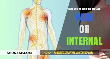 Muscle Pain or Internal Issue: How to Tell the Difference