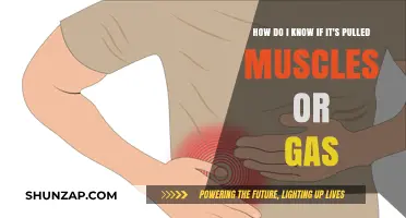 Pulled Muscles or Gas Pain: How to Tell the Difference