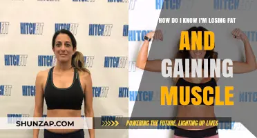 Track Progress: Signs You're Losing Fat, Gaining Muscle Effectively
