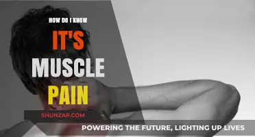 Identifying Muscle Pain: Key Signs and Symptoms to Recognize