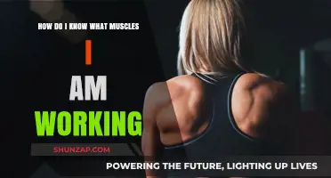 Identify Your Target Muscles: A Guide to Effective Workouts