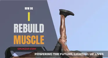 Rebuilding Muscle: Strategies for Effective Muscle Gain