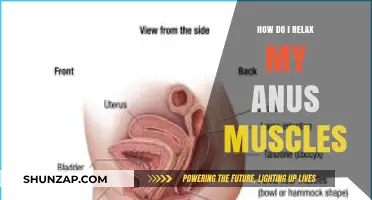 Effective Techniques to Relax Your Anus Muscles for Comfort and Relief