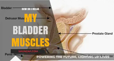 Effective Techniques to Relax Bladder Muscles for Better Comfort and Control
