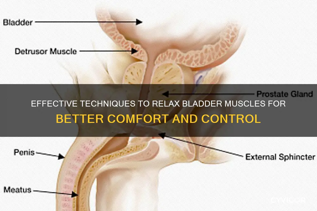 how do i relax my bladder muscles