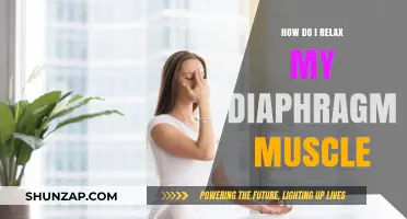 Effective Techniques to Relax Your Diaphragm Muscle for Better Breathing