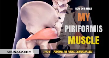 Effective Techniques to Relax Your Piriformis Muscle for Pain Relief