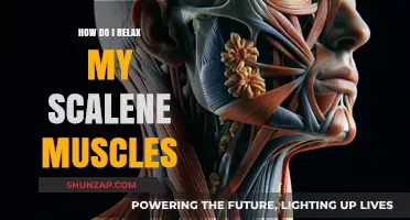 Effective Techniques to Relax and Release Tight Scalene Muscles