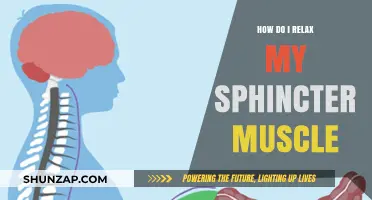 Effective Techniques to Relax Your Sphincter Muscle for Comfort and Relief