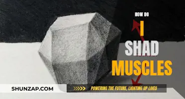 Shading Muscles: The Ultimate Guide to Definition