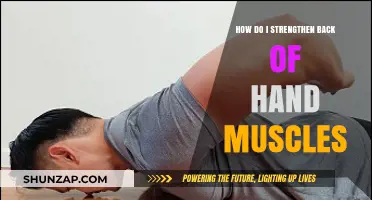 Empower Your Grip: Exercises to Strengthen Back of Hand Muscles