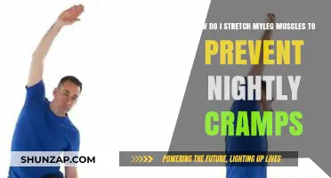 Effective Leg Muscle Stretches to Prevent Nightly Cramps