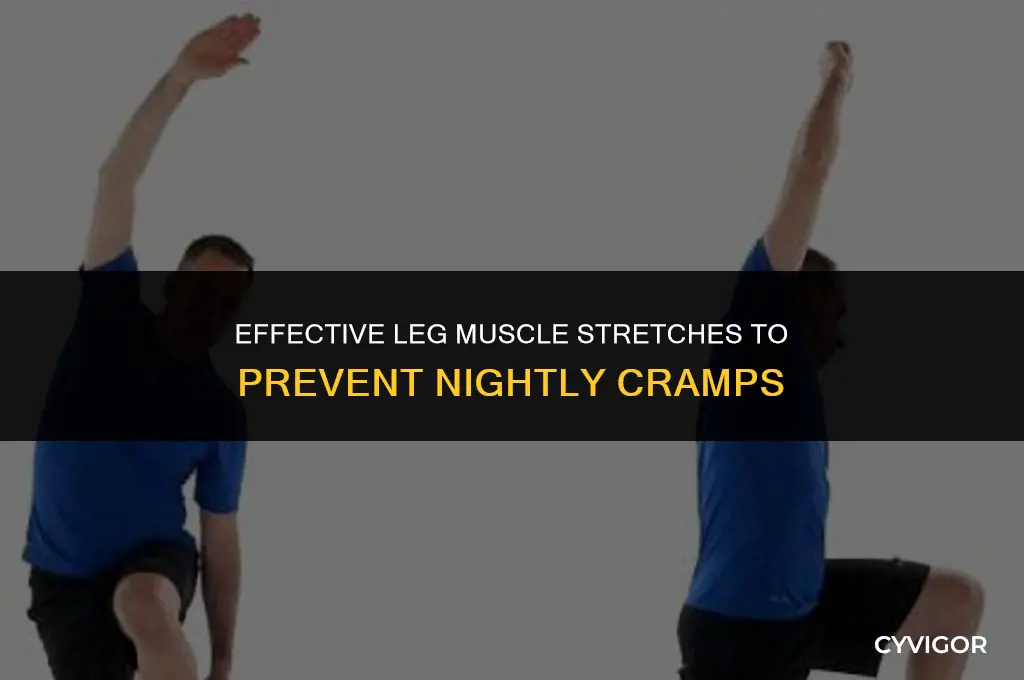how do i stretch myleg muscles to prevent nightly cramps