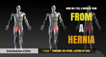 Muscle Pain or Hernia: Key Differences and Symptoms to Watch For