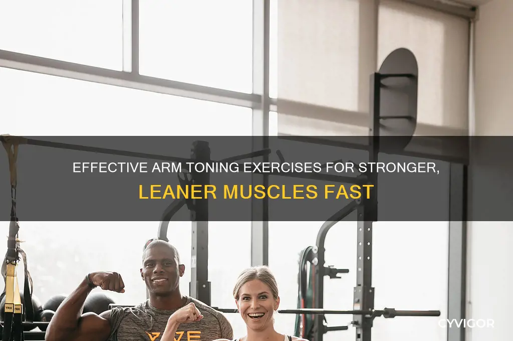 how do i tone my arm muscles
