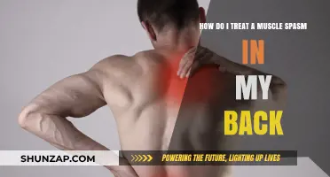 Relieving Back Muscle Spasms: A Comprehensive Guide to Treatment and Prevention