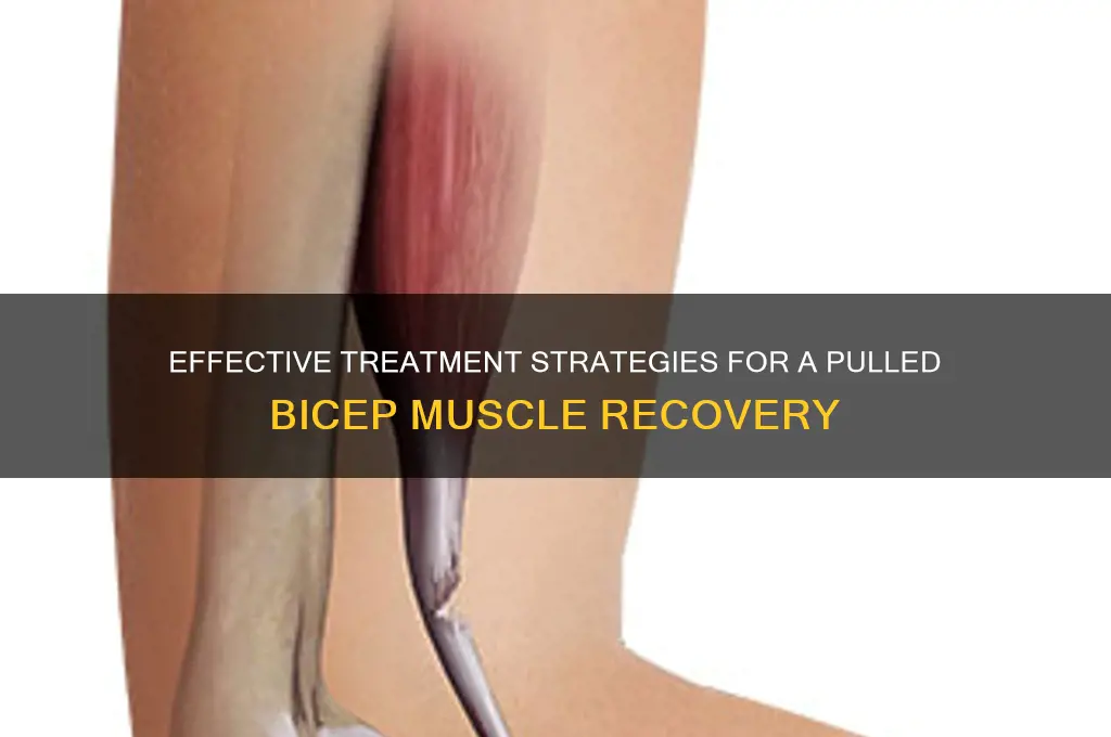 how do i treat a pulled bicep muscle