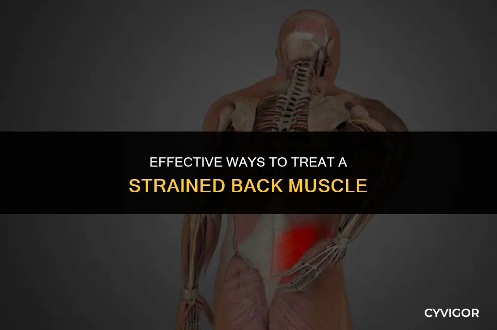 how do i treat a strained back muscle