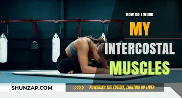 Strengthen Your Breathing: Mastering Intercostal Muscle Workouts for Core Power