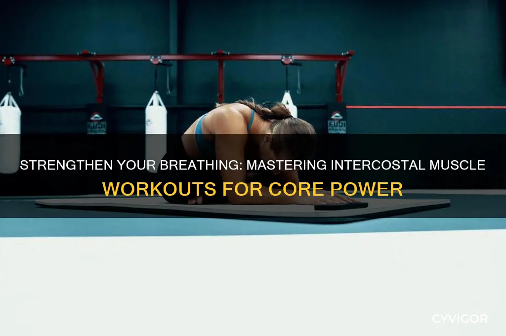 how do i work my intercostal muscles