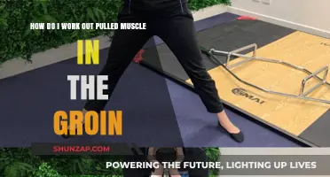 Effective Groin Pulled Muscle Workout Recovery Tips and Exercises