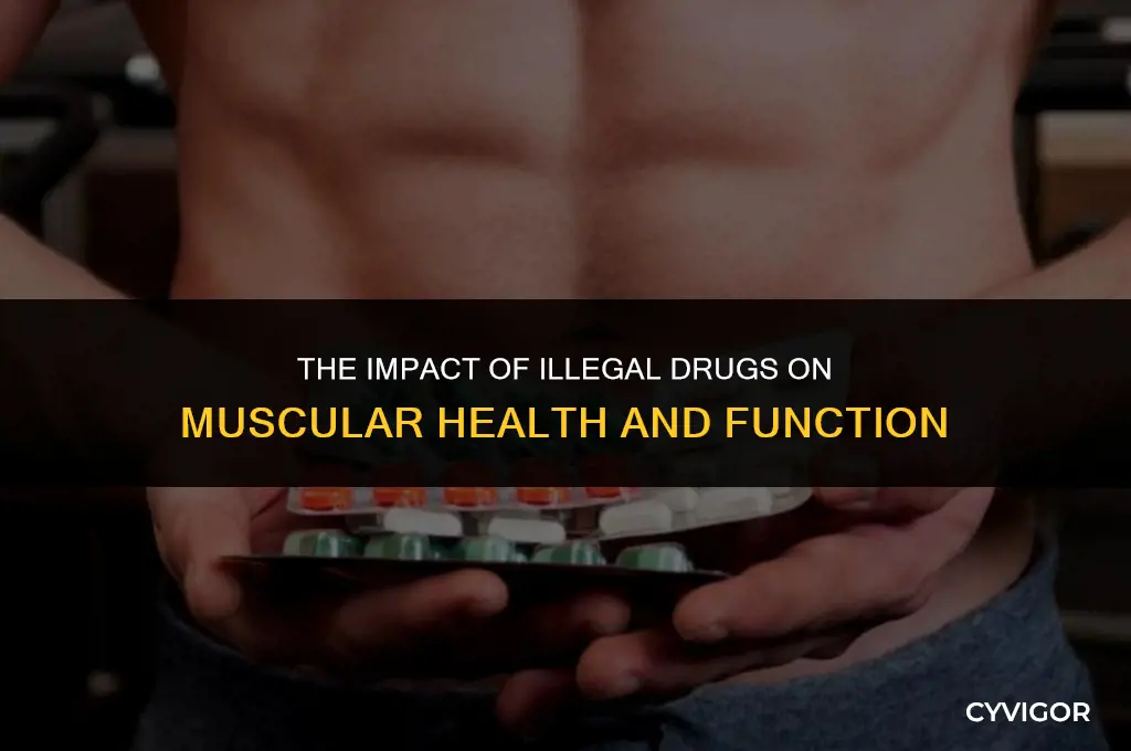 how do illegal drugs affect the muscles