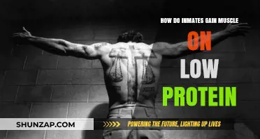 Building Muscle Behind Bars: Low-Protein Strategies for Inmate Fitness