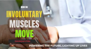 Involuntary Muscles: Understanding Their Unconscious Movement