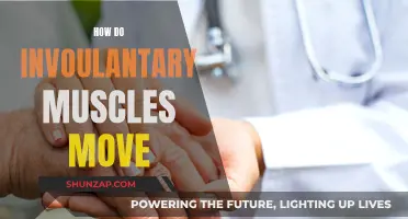 Involuntary Muscles: Understanding Their Unconscious Movement