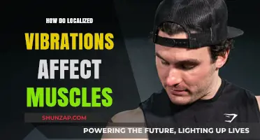 Exploring the Impact of Localized Vibrations on Muscle Health and Performance