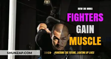 MMA Muscle Building: Training Secrets for Fighters' Strength Gains