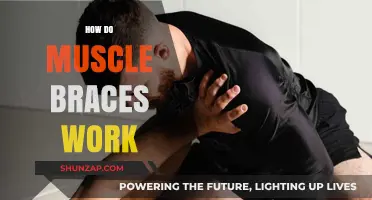 Understanding Muscle Braces: How They Support and Enhance Recovery