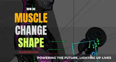 Muscle Transformation: Unlocking the Science of Shape Shifting