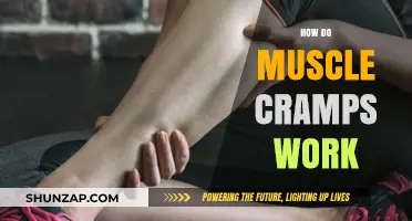 Understanding Muscle Cramps: Causes, Mechanisms, and Effective Relief Strategies