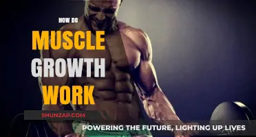 Understanding Muscle Growth: Mechanisms, Factors, and Effective Strategies Explained