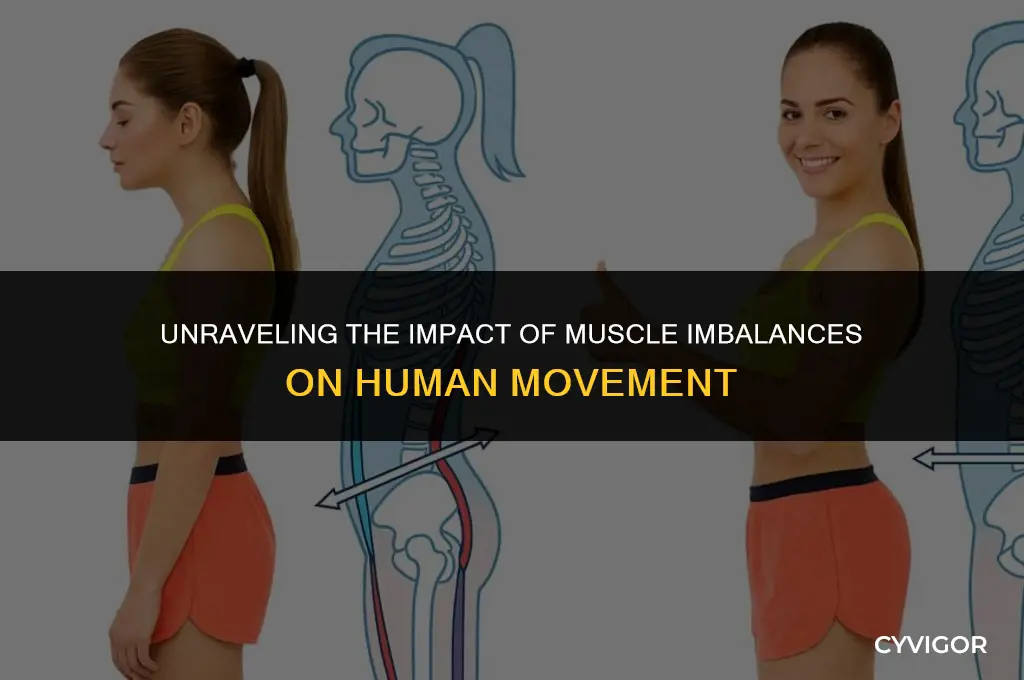 how do muscle imbalances affect human movement