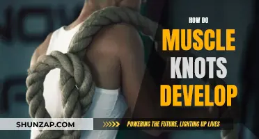 Muscle Knots: Understanding Their Development and Causes