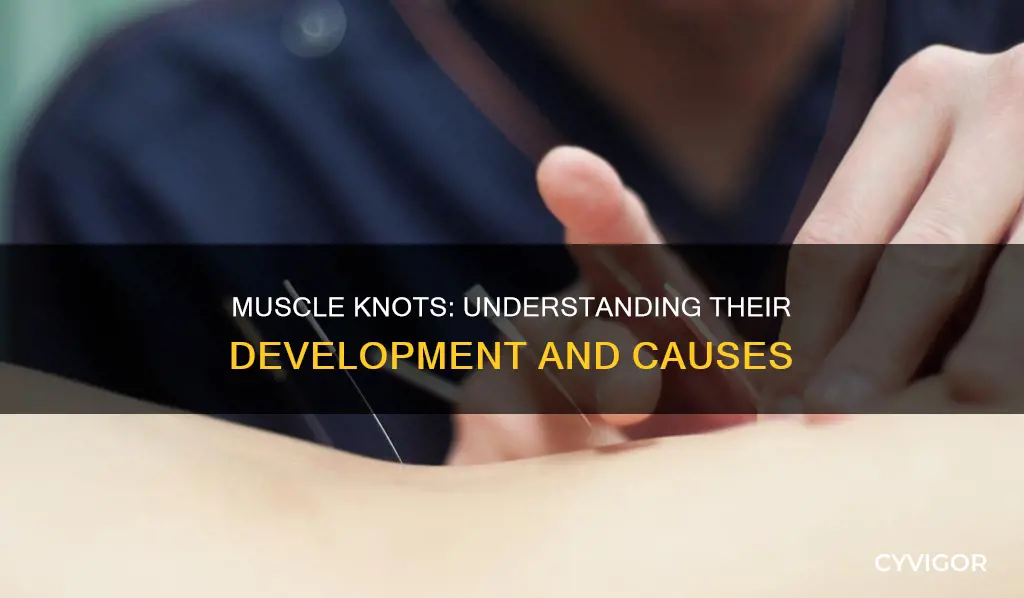 how do muscle knots develop