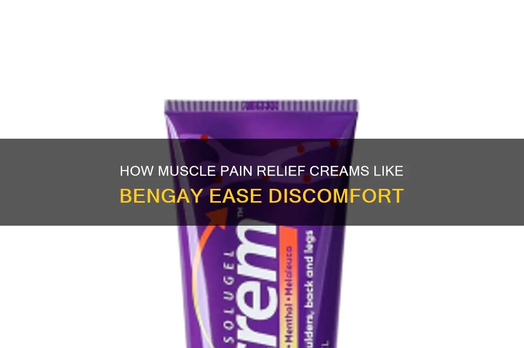 how do muscle pain relief creams like bengay work