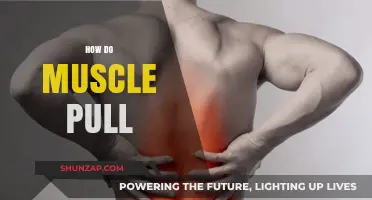 Understanding Muscle Pulls: Causes, Symptoms, and Effective Prevention Strategies