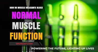 How Muscle Relaxants Disrupt Normal Muscle Function: A Deep Dive