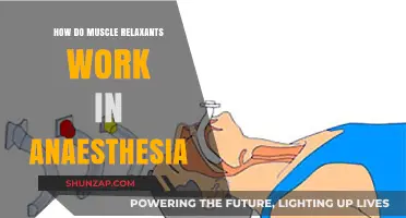 Muscle Relaxants in Anaesthesia: Mechanism, Role, and Clinical Applications