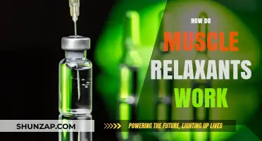 Understanding Muscle Relaxants: Mechanism, Types, and How They Ease Tension