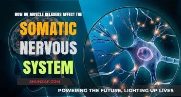 Muscle Relaxers and Their Impact on Somatic Nervous System Function