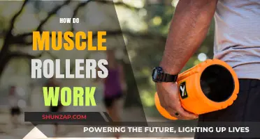 Unraveling the Science: How Muscle Rollers Relieve Pain and Enhance Recovery
