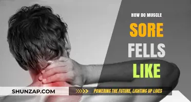Understanding Muscle Soreness: What It Feels Like and Why It Happens