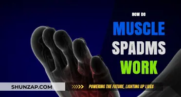 Understanding Muscle Spasms: Causes, Mechanisms, and Effective Relief Strategies
