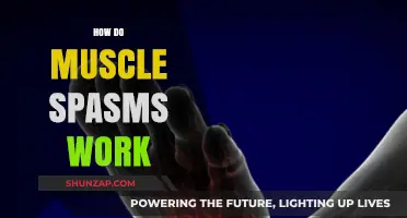 Understanding Muscle Spasms: Causes, Mechanisms, and Relief Strategies Explained